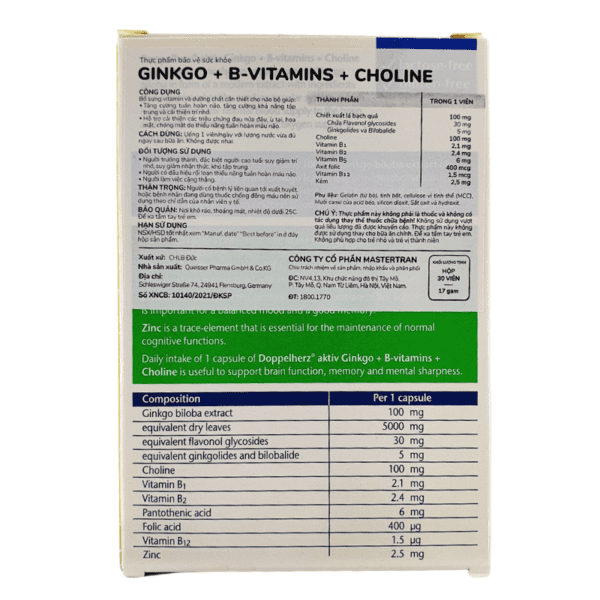 ginkgo vitamin b choline doppelherz