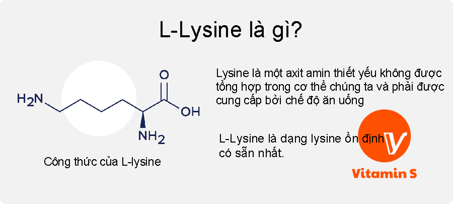 L lysine la gi