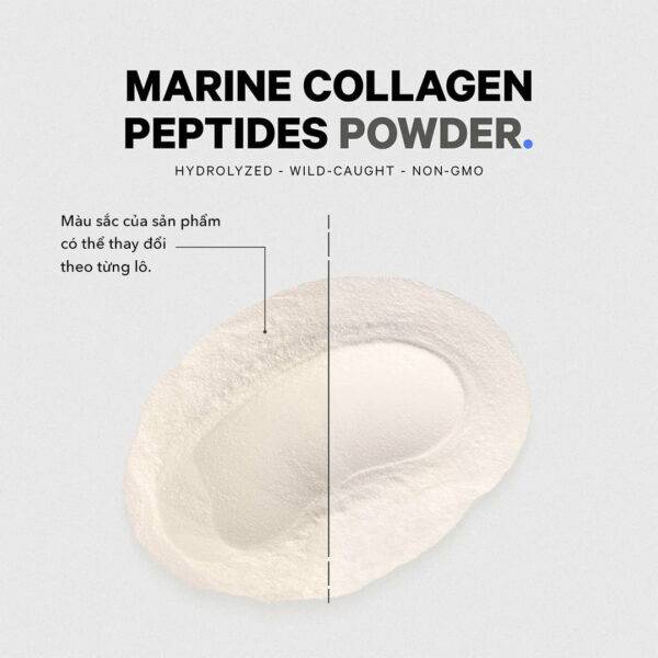 Wild Caught Marine Collagen Peptides codeage