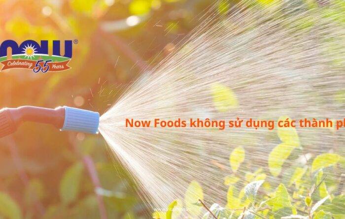 now foods khong su dung cac thanh phan nay 2